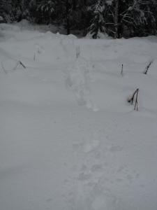DSC09825.JPG