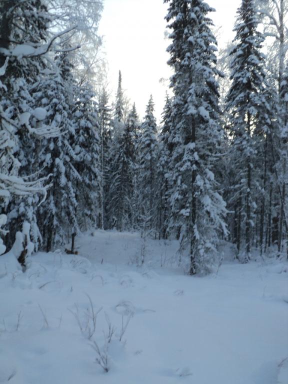 DSC09962.JPG