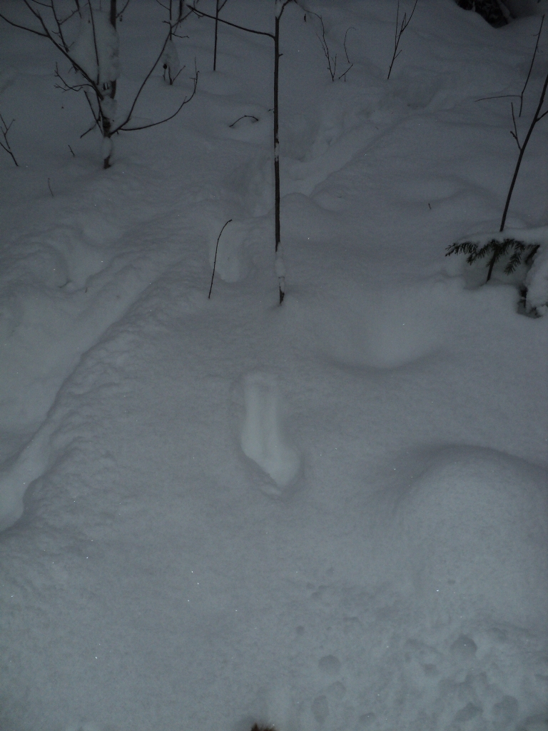 DSC09976.JPG