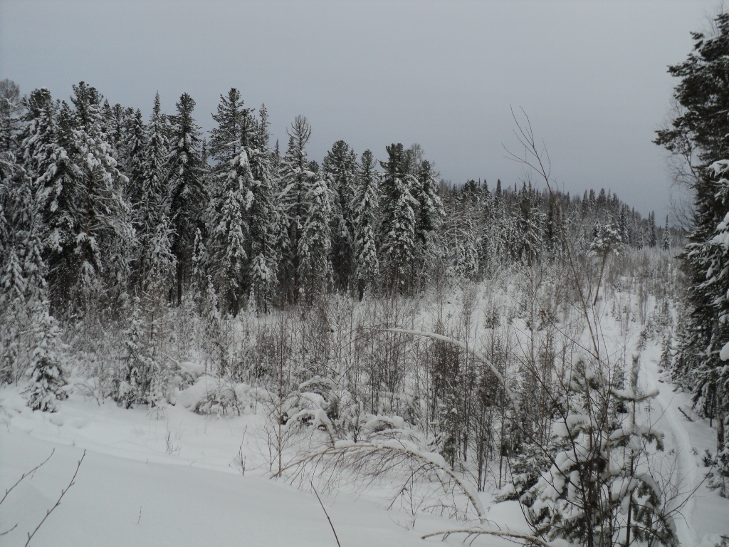 DSC09977.JPG