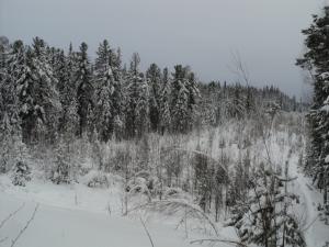 DSC09977.JPG