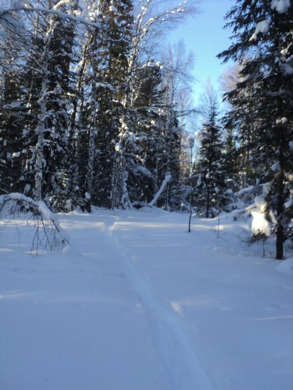 DSC00020.JPG