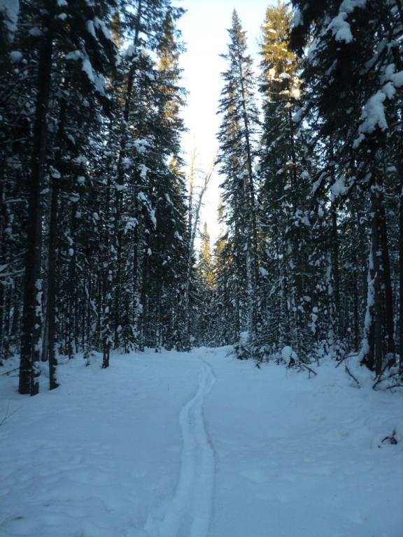 DSC00026.JPG