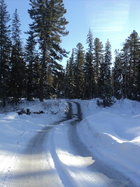 DSC00027.JPG