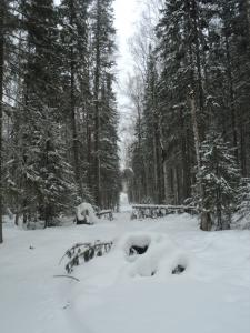 DSC00092.JPG