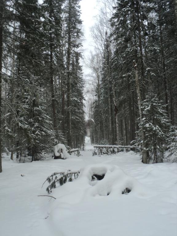 DSC00092.JPG
