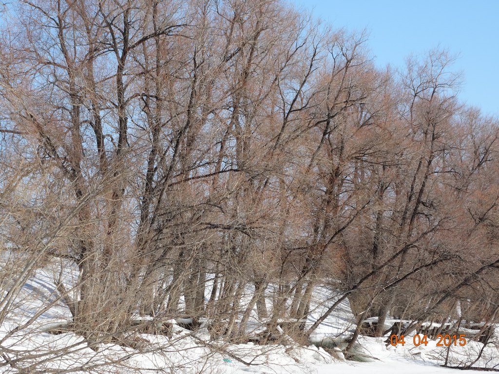 апрель 2015_4
