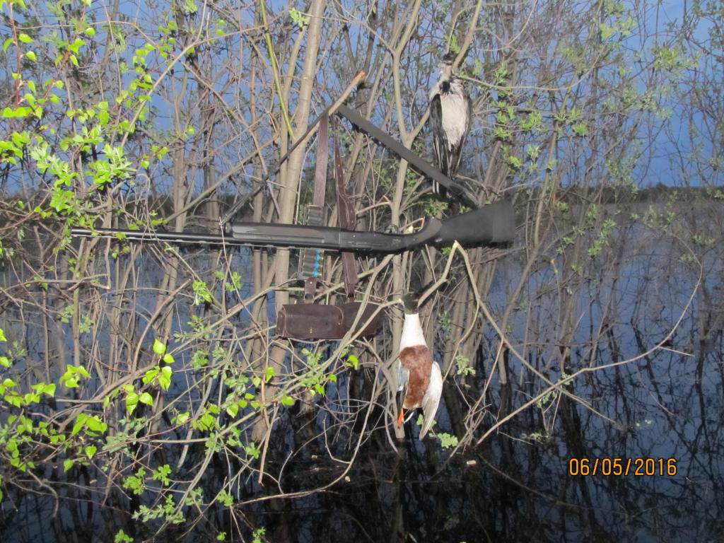 IMG_1344