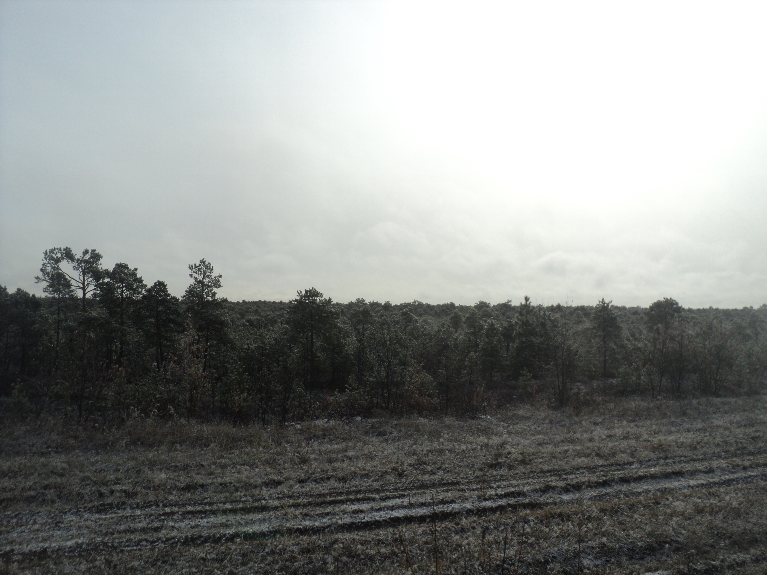 DSC00357.JPG