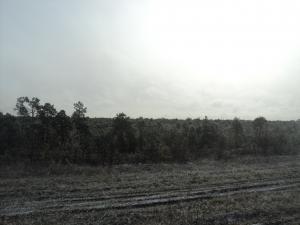 DSC00357.JPG
