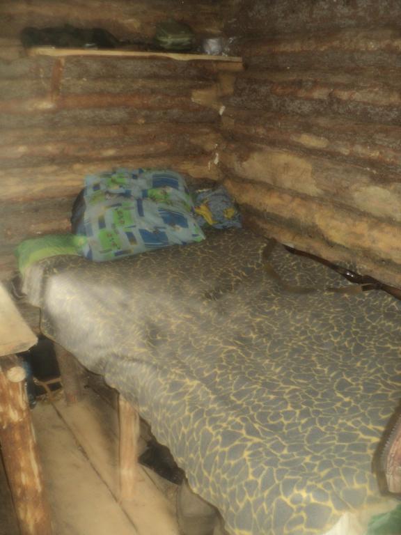 DSC00377.JPG
