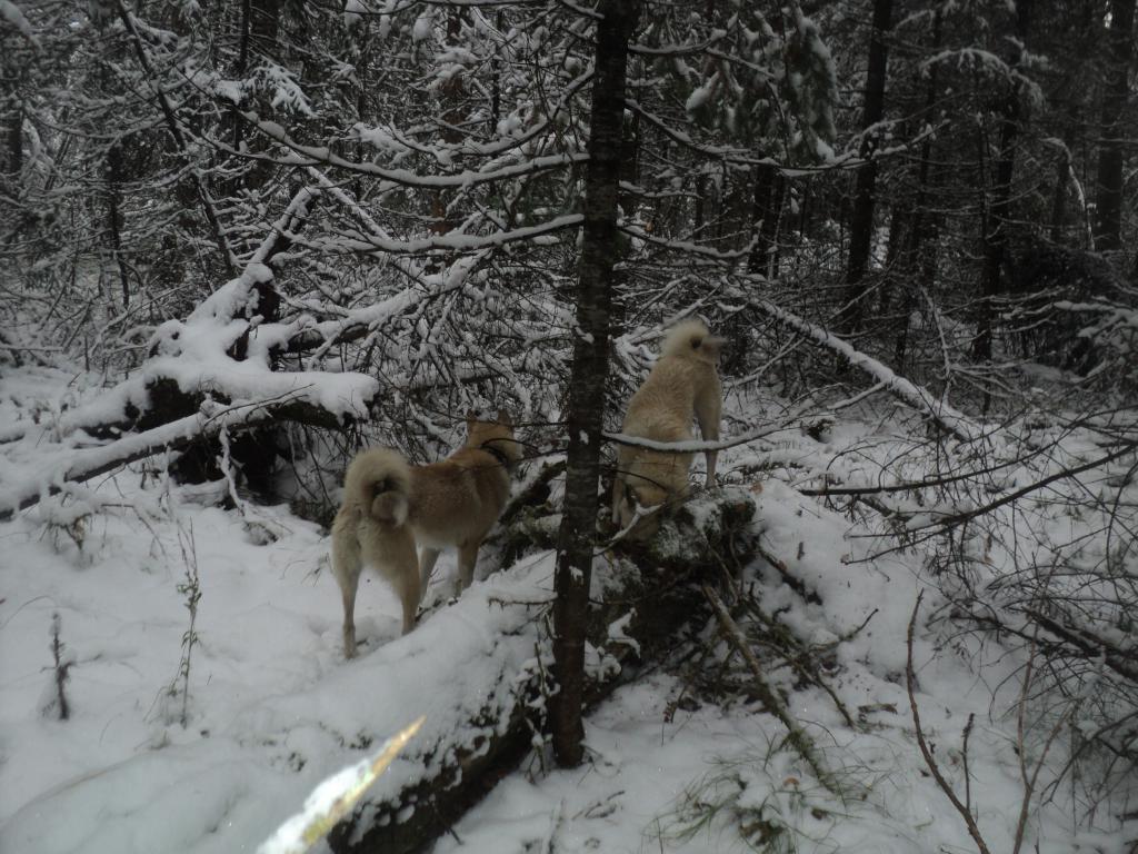 DSC00385.JPG