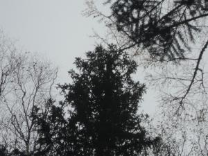 DSC00390.JPG
