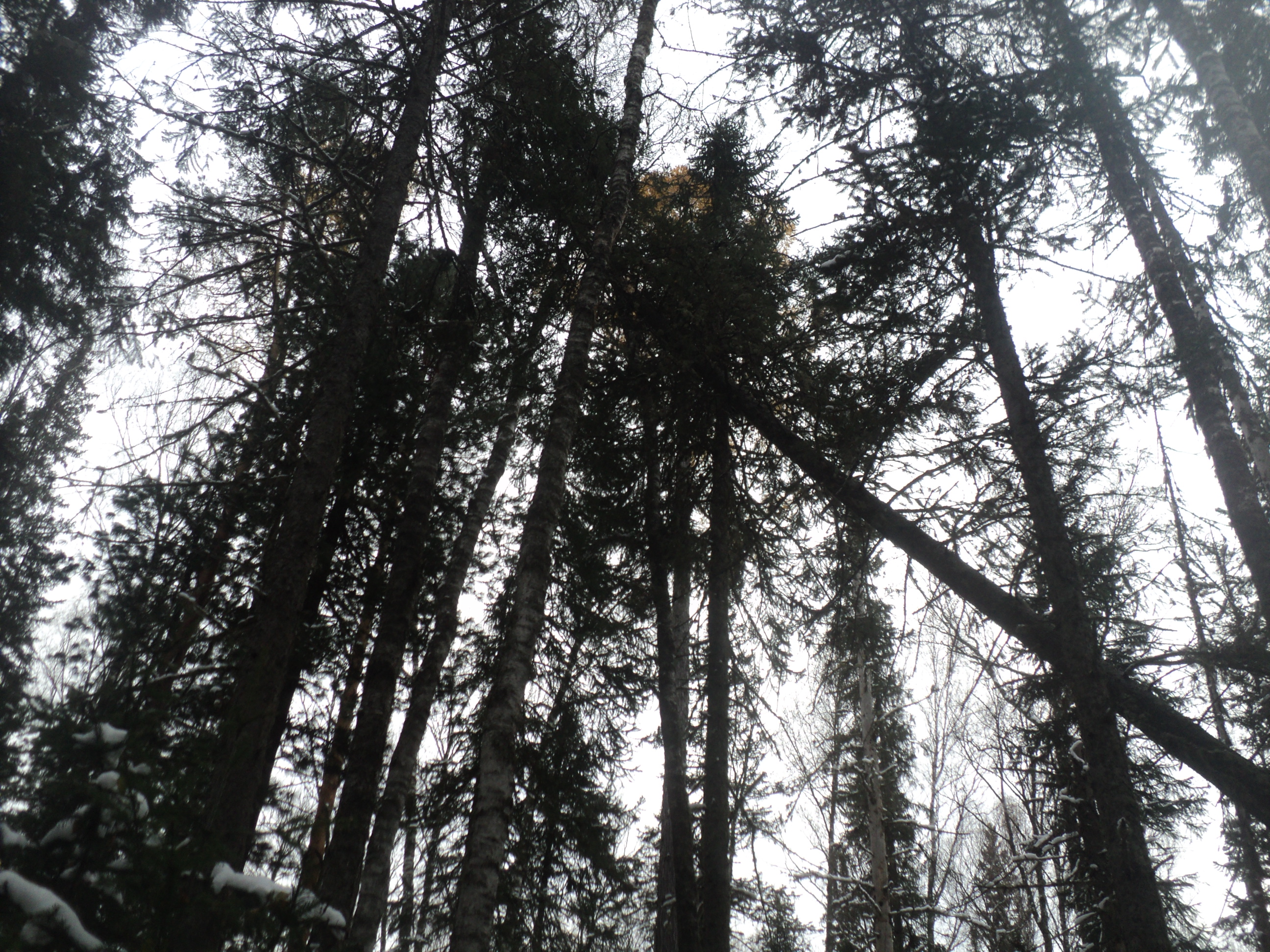 DSC00393.JPG