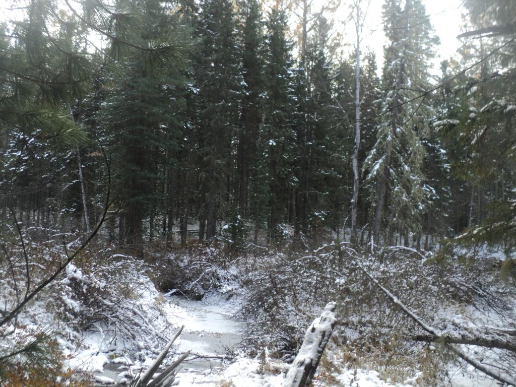 DSC00400.JPG