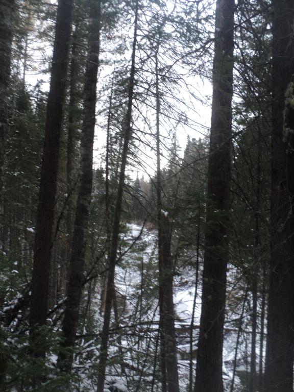 DSC00401.JPG
