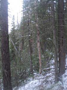 DSC00402.JPG