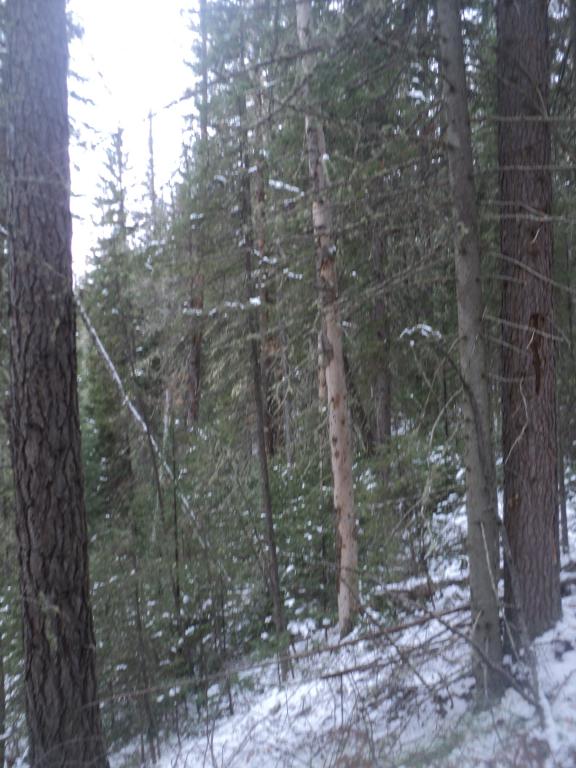 DSC00402.JPG