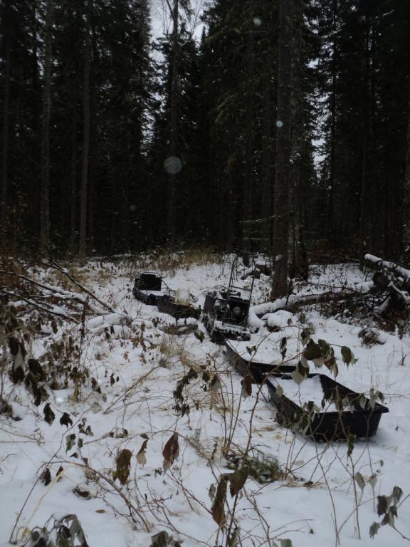 DSC00439.JPG
