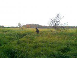 IMG_20150910_172606