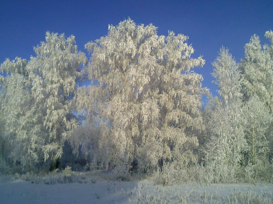 красота