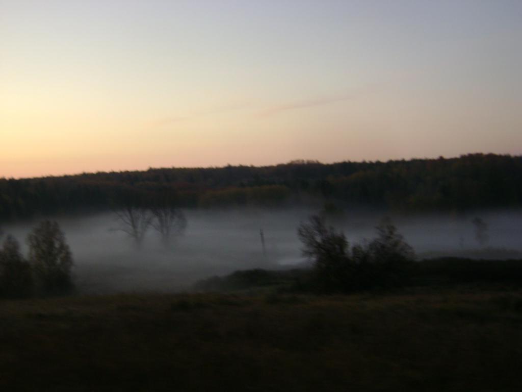 DSC05408