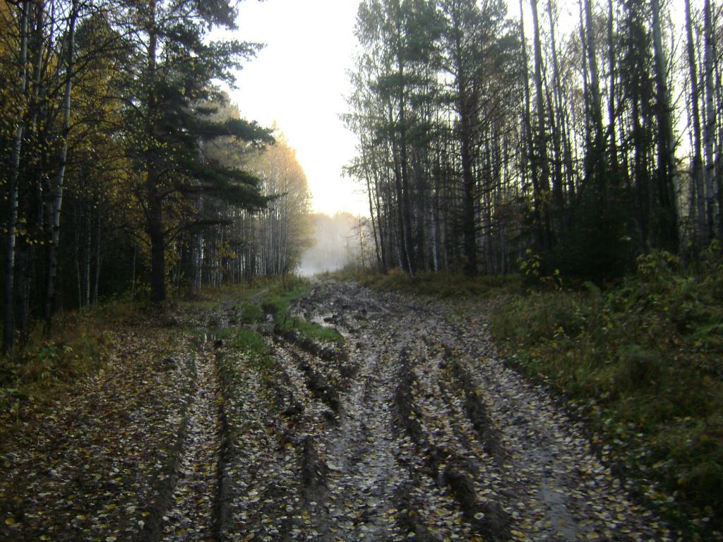 DSC05463