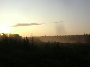 DSC05446