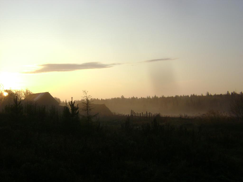 DSC05446
