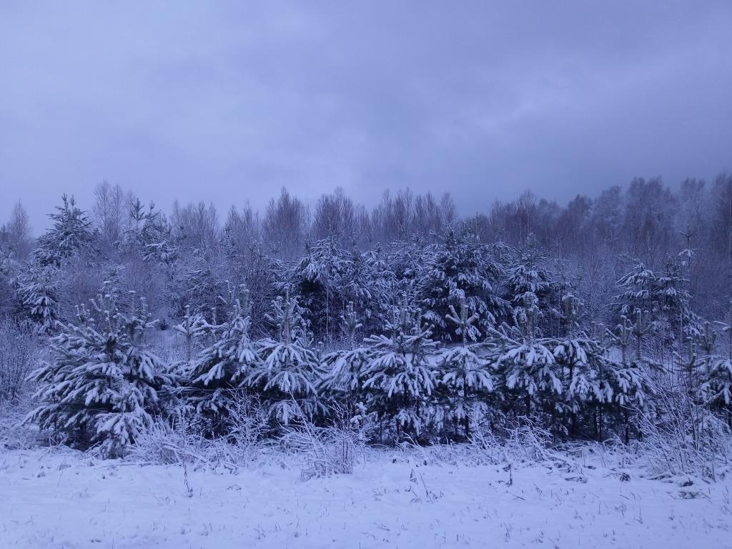 Тарский район. Весна 2019. Васюган
