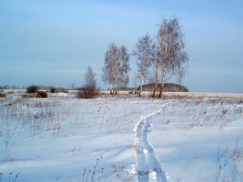 Зима