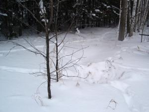 Козьи тропы.