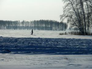 Павлоградский район.