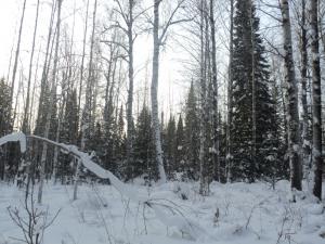 DSC00875