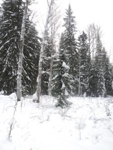 DSC00892.JPG