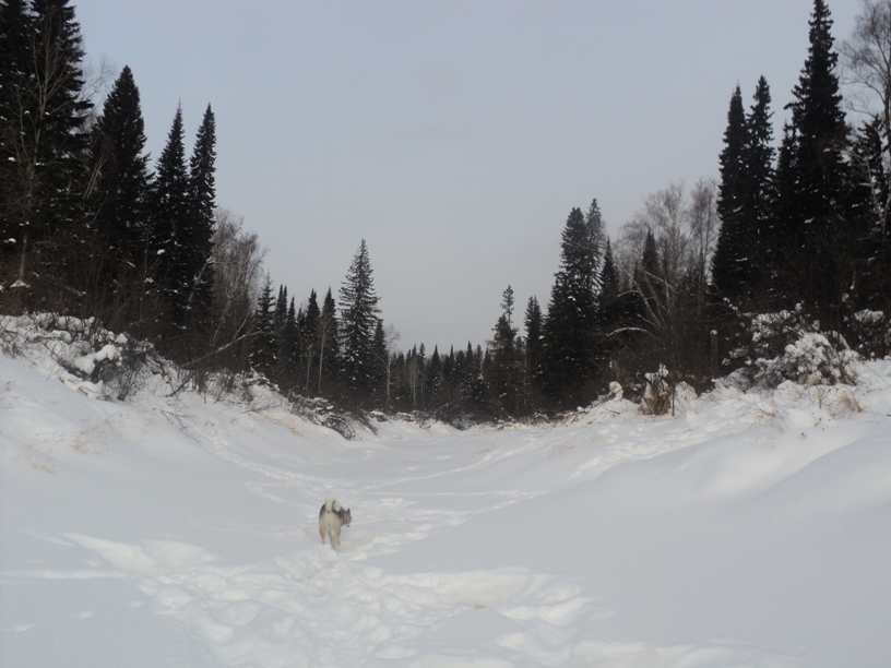 DSC00896.JPG