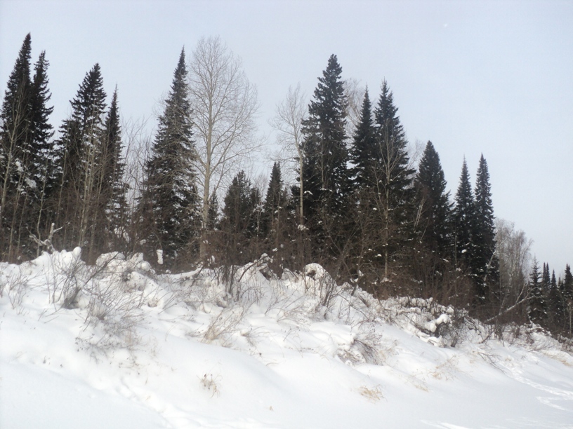 DSC00897.JPG