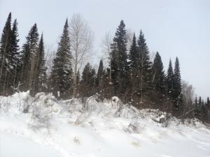 DSC00897.JPG