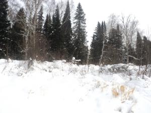 DSC00898.JPG