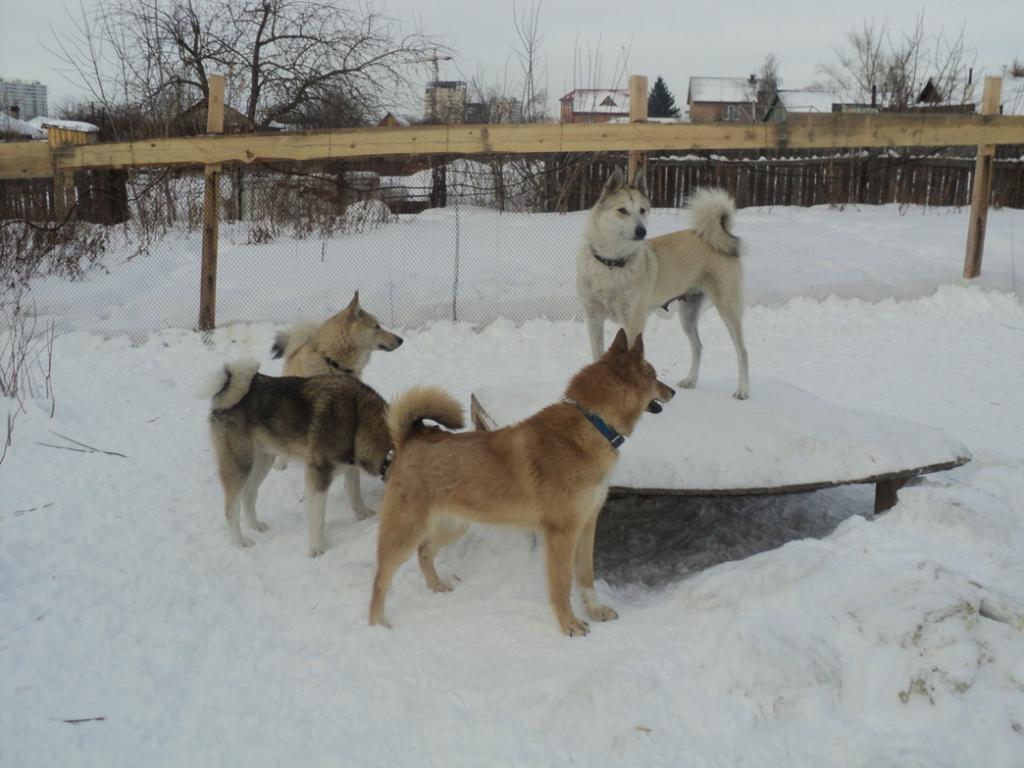 Пополнение