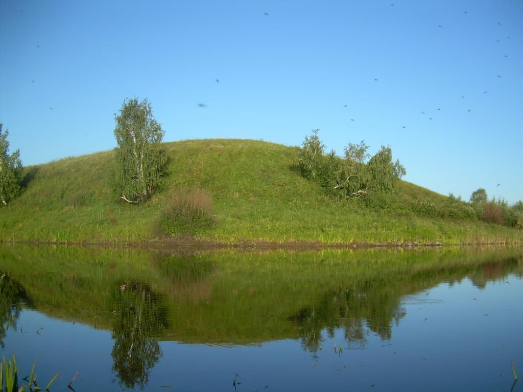 DSCN0724