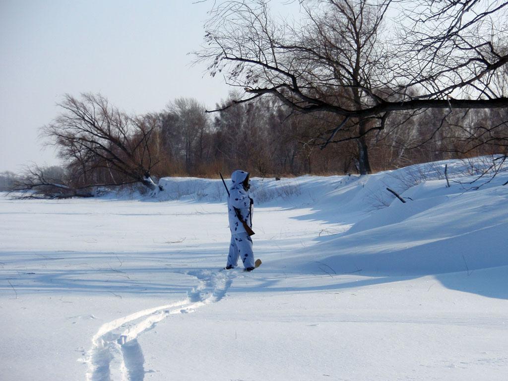 Берег Иртыша