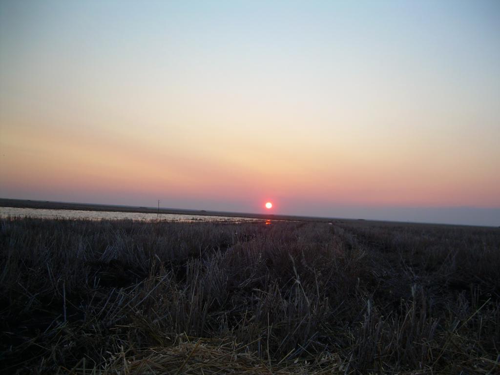 DSCN1245