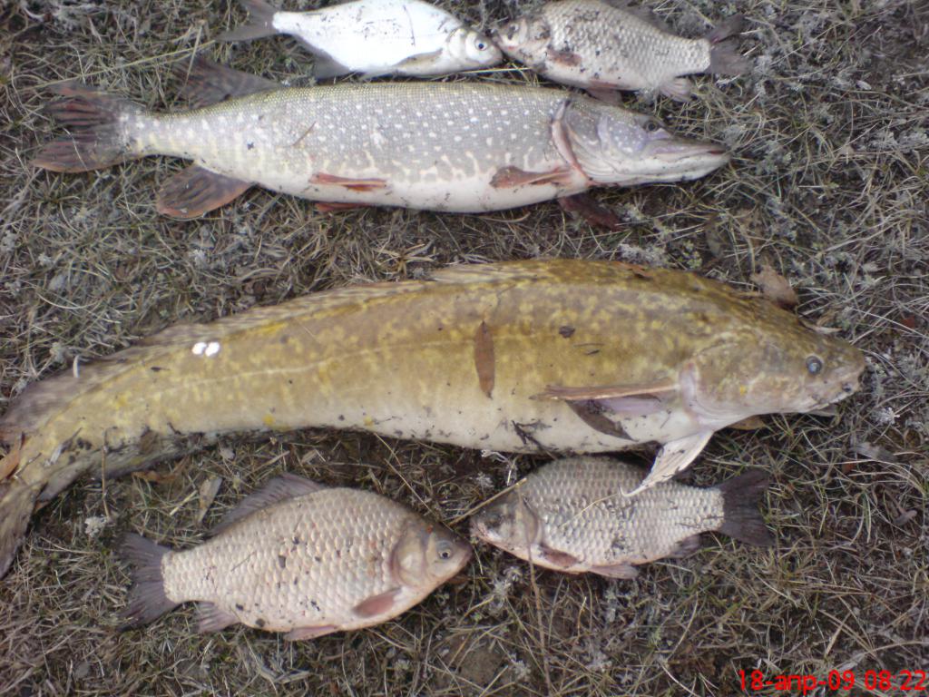 DSC00120