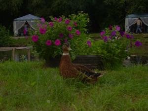 DSCN0665