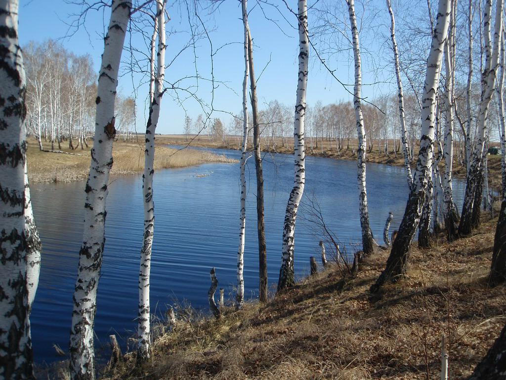 река Оша в районе села Кумыра.
