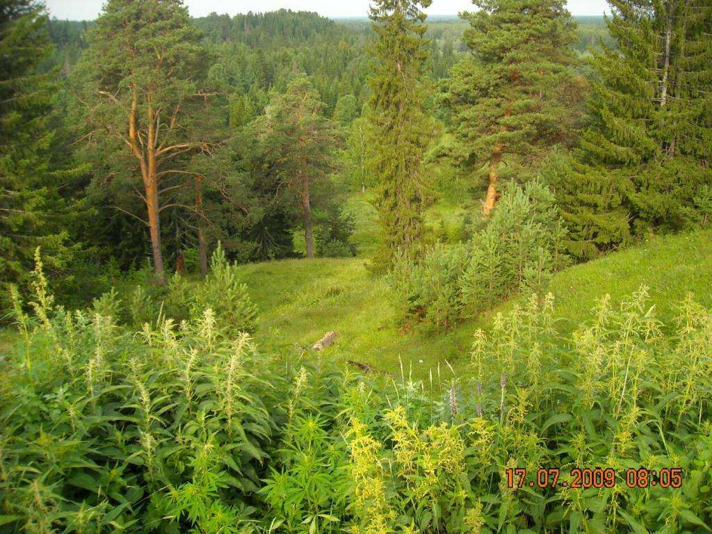 Настольгия по родным местам 2