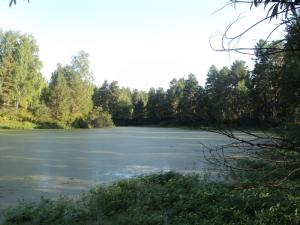 DSC00304