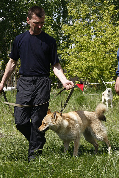ov050.JPG