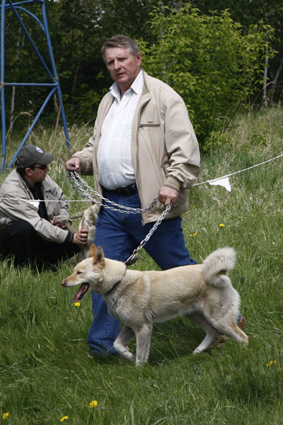 ov066.JPG